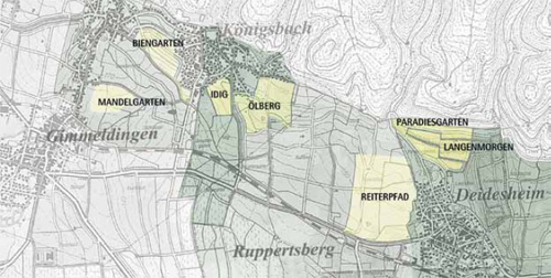 Landkarte, Anbaugebiet der Pfalz