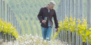 Weingut Michael Teschke