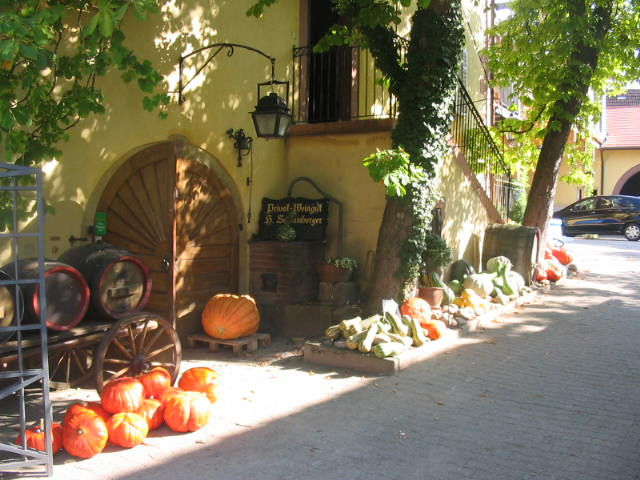 Privatweingut-Schlumberger in Baden